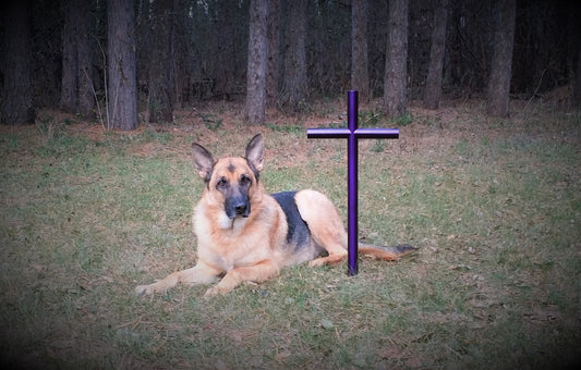 Our Pets are more then pets they are family.  German Shepherd inspired this outdoor memorial cross.  A deep purple size small is shown in a perfect spot in the yard. 